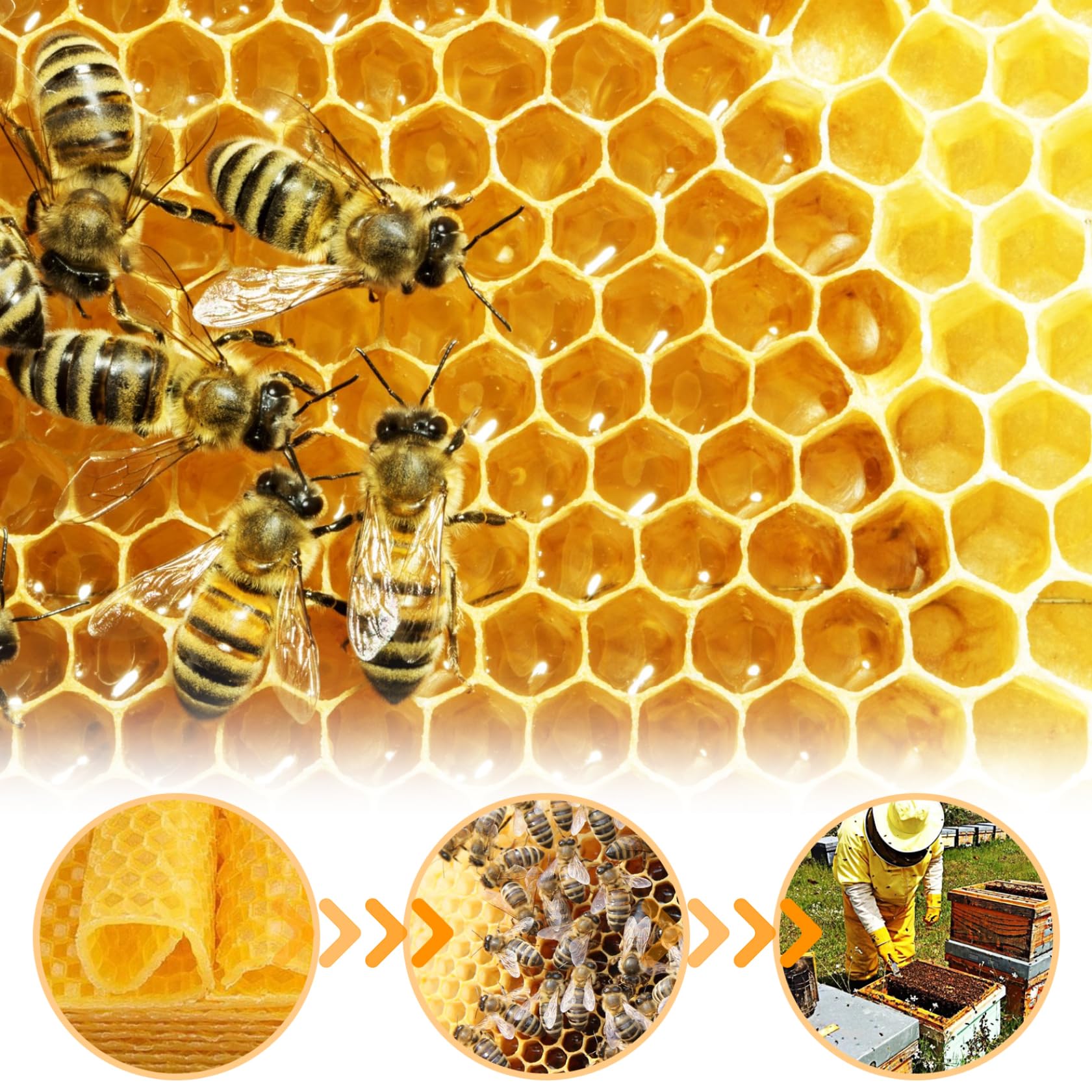 Feuilles de Cire d'abeille 30pcs Founds de Base de Cire d'abeilles 5.2x3,5 '' Foundation de Cire pour Cadres d'abeilles Feuilles en nid d'abeilles Naturel Feuilles de Cire d'abe