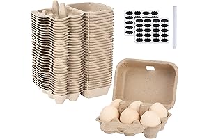 Paper Egg Cartons for Chicken Eggs: Protecting Your Precious Produce