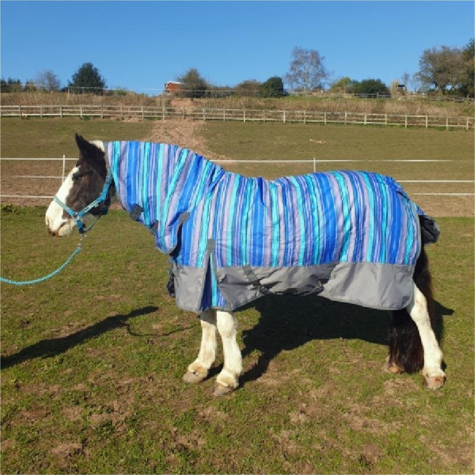 Doppio Tetto In Tessuto A Rete Equestre