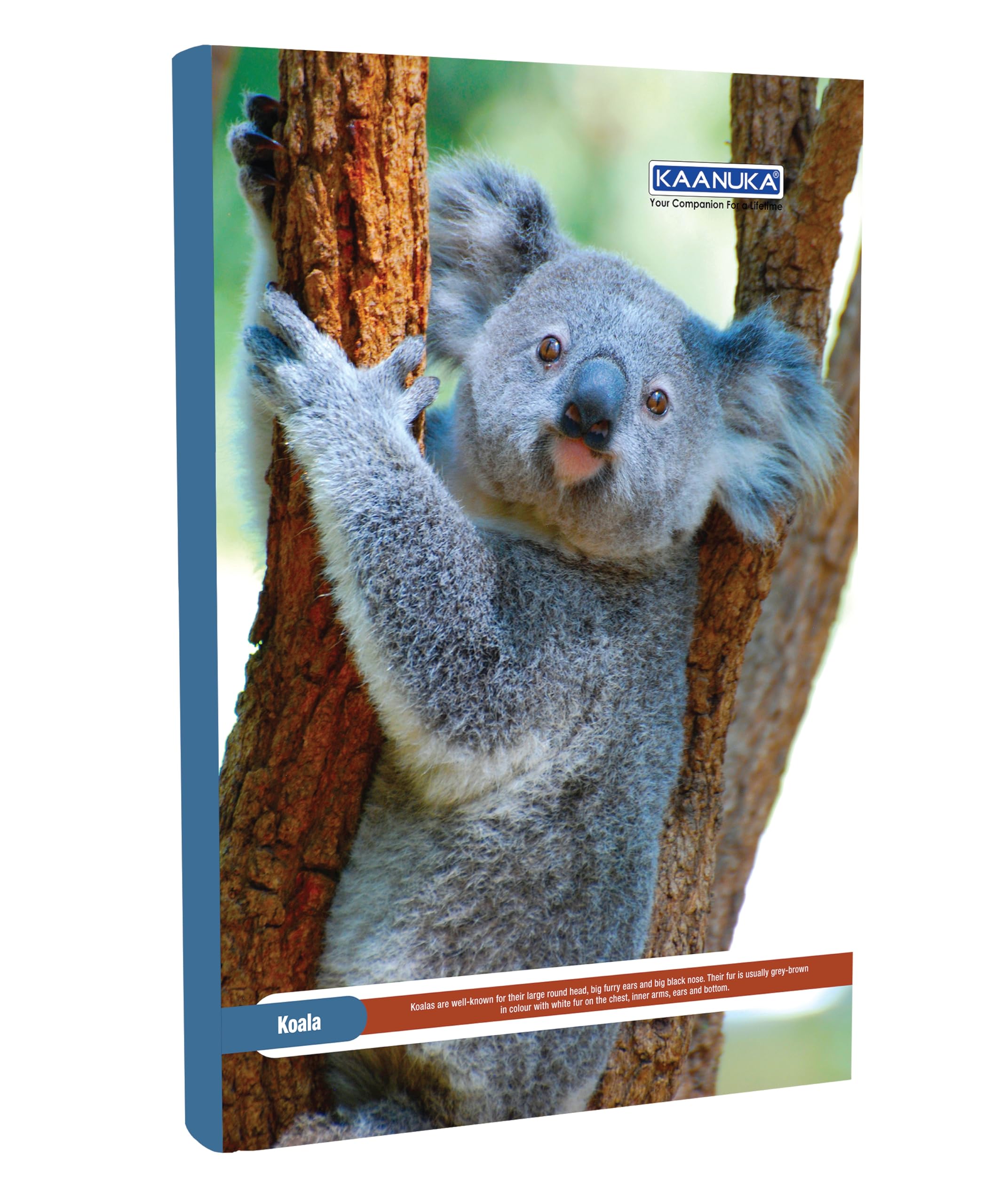 KAANUKA Cuaderno de tamaño largo, 172 páginas, rayado, una sola línea, A4-29,7 cm x 21,0 cm, paquete de 5 cuadernos, cuadernos de tamaño largo de una sola línea para estudiantes escolares y