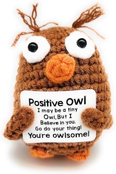 Set of 2 Crochet Owls with Positive Message, Emotional Support (2 Owls)