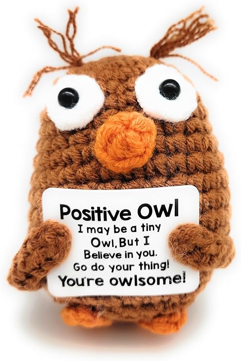 Set of 2 Crochet Owls with Positive Message, Emotional Support (2 Owls)
