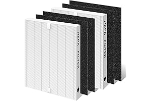 Coway Airmega Replacement Filter Set: Breathe Easy with Purified Air