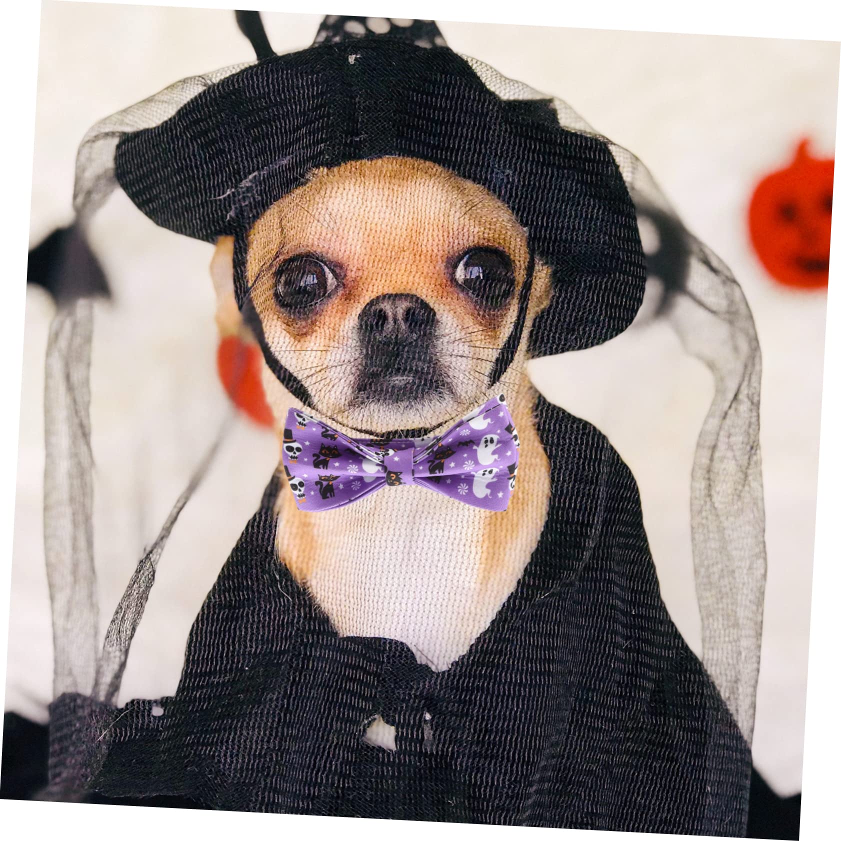 HANABASS 5stücke Halloween Katzenhalsband Mit Abnehmbarem Schleifenmotiv Verstellbar Für Mittelgroße Haustiere Für Festliche Anlässe Und Fotoshootings