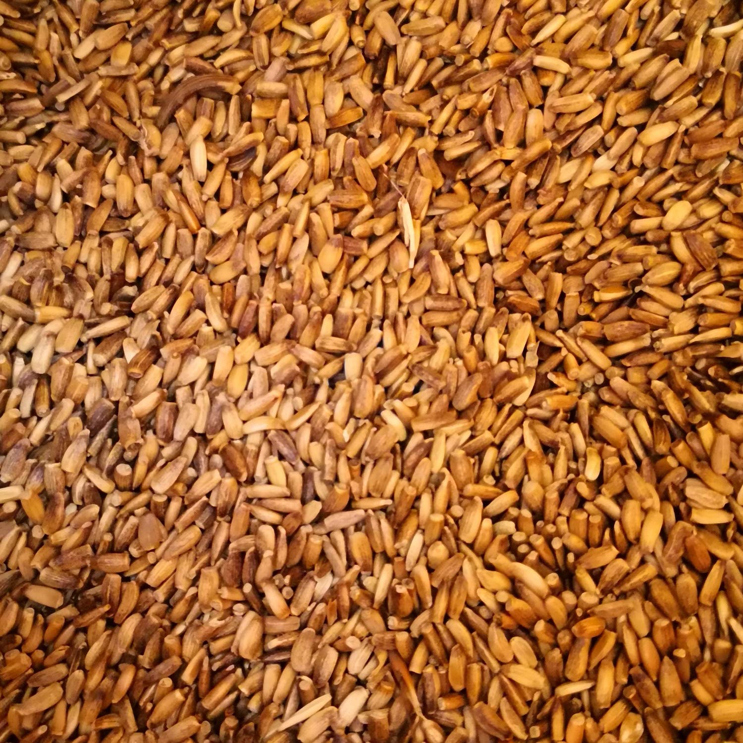Mariendistel/Mariendistelsamen/Mariendistelsaat für Pferde, Haustiere, Nager, Vögel, Tauben, Hunde (2,5 Kg)