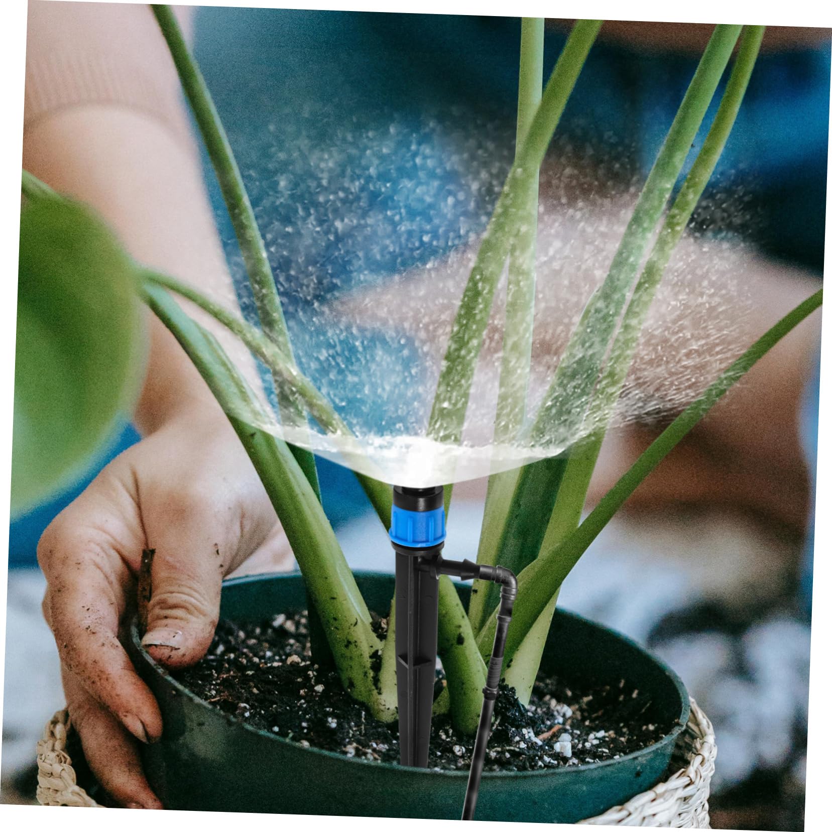 NULYLU Drip Irrigation System Parts 50pcs Plastic Sprinkler Heads Full-Circle Spray Drip Emitters for Garden