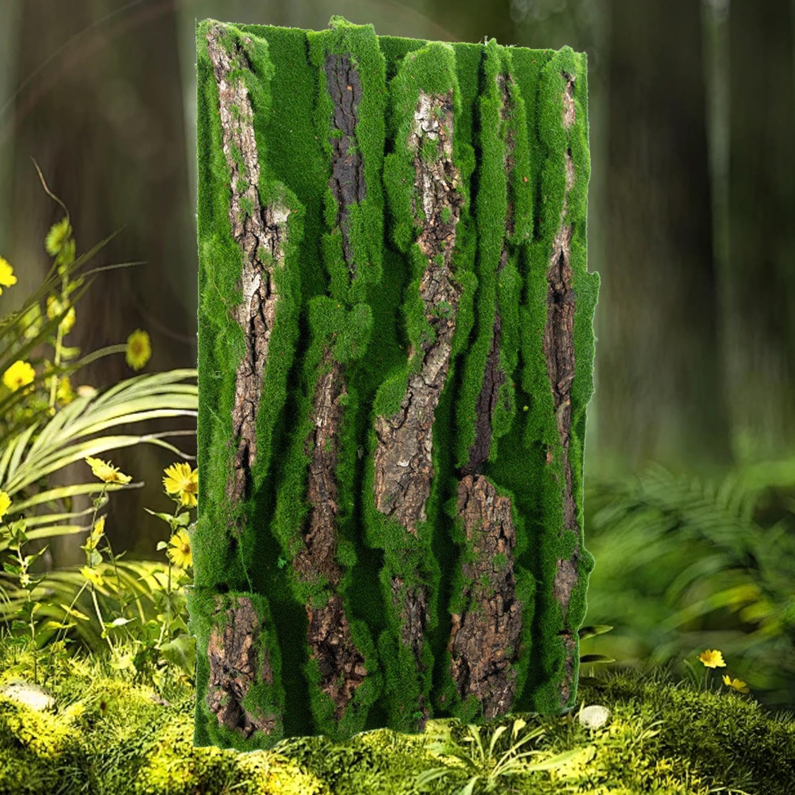 Antecedentes de Corcho para Terrario - Decoración de viviendas de Reptiles | Fondo de Corteza con Espuma Artificial, Accesorio Natural para, Serpiente, camaleón, Gecko, dragón Barbudo y anfibi