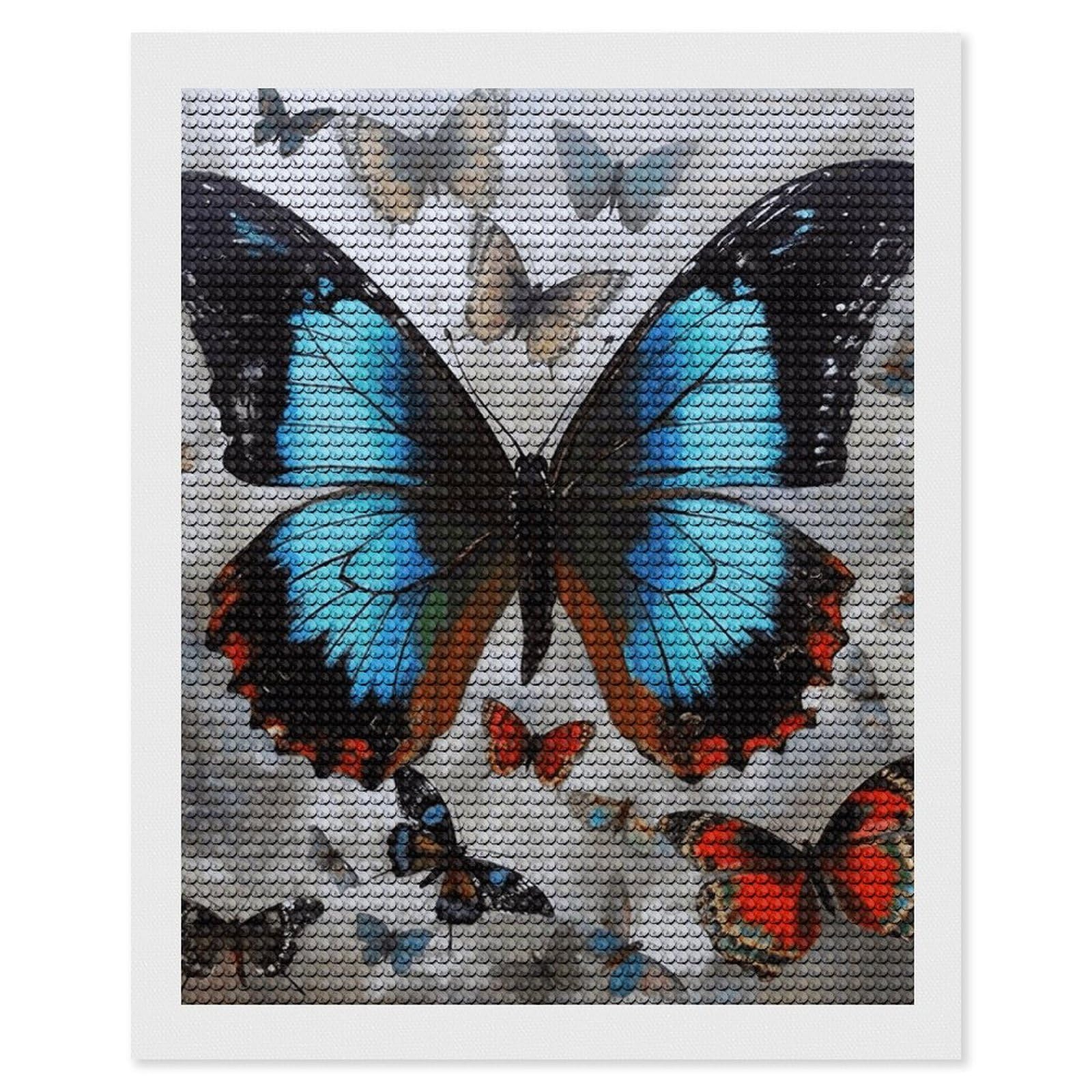 NONHAI Diamond Painting Kits for Adults - DIY Diamond Art Kits for Beginners - Full 5D Paint Drill Diamond Dots Paintings- Butterfly Diamonds Pictures Gem Art and Craft Wall Decor 16"x20"