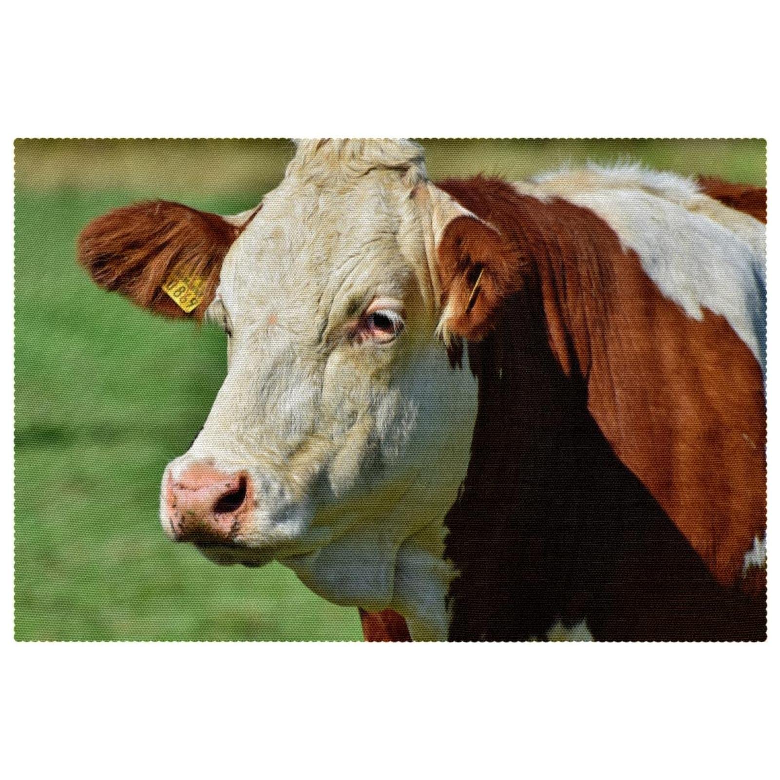 Sets de table rectangulaires 30x45cm bétail et vache pour salle à manger