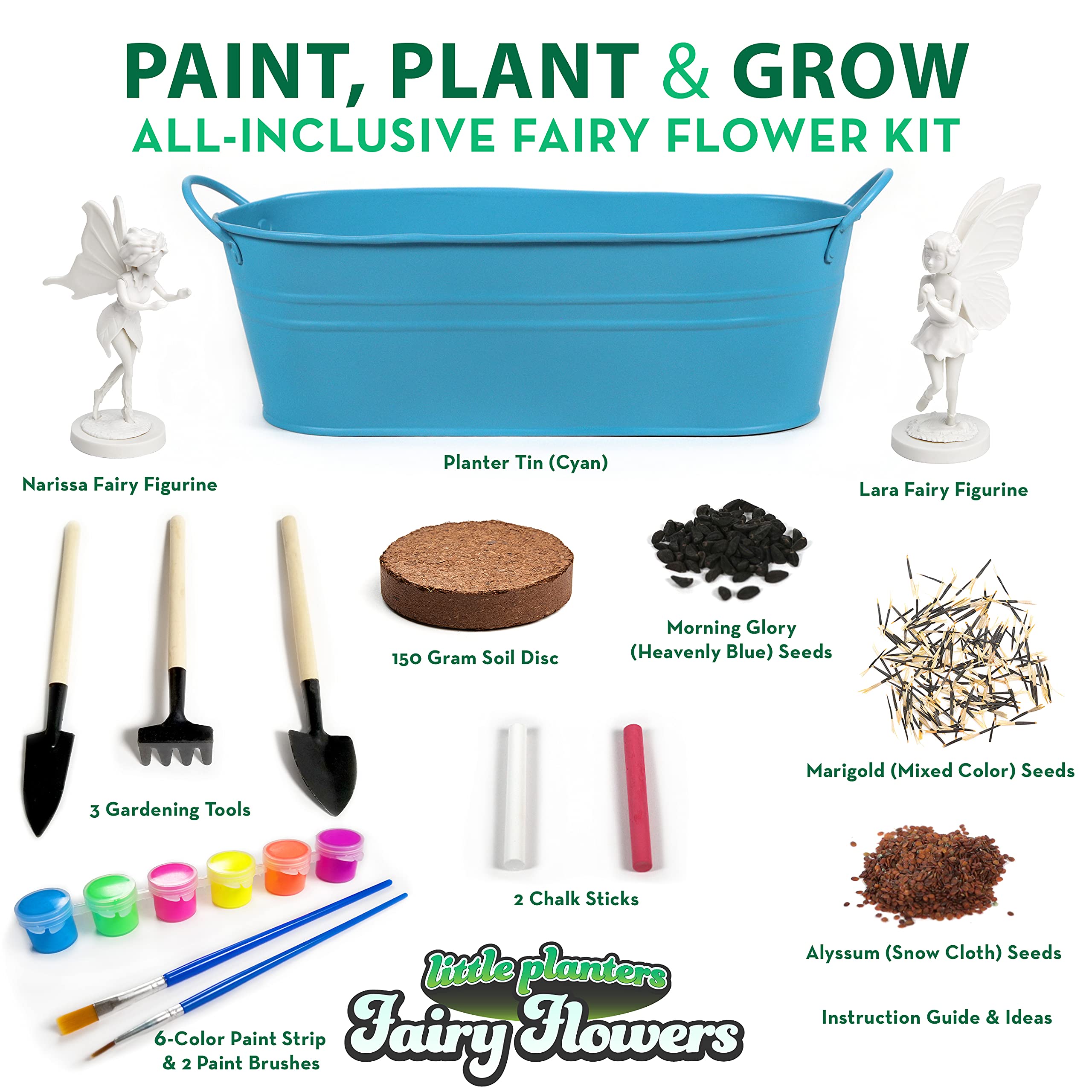 Buy Little Planters Paint & Grow Fairy Garden with Real Flowers and