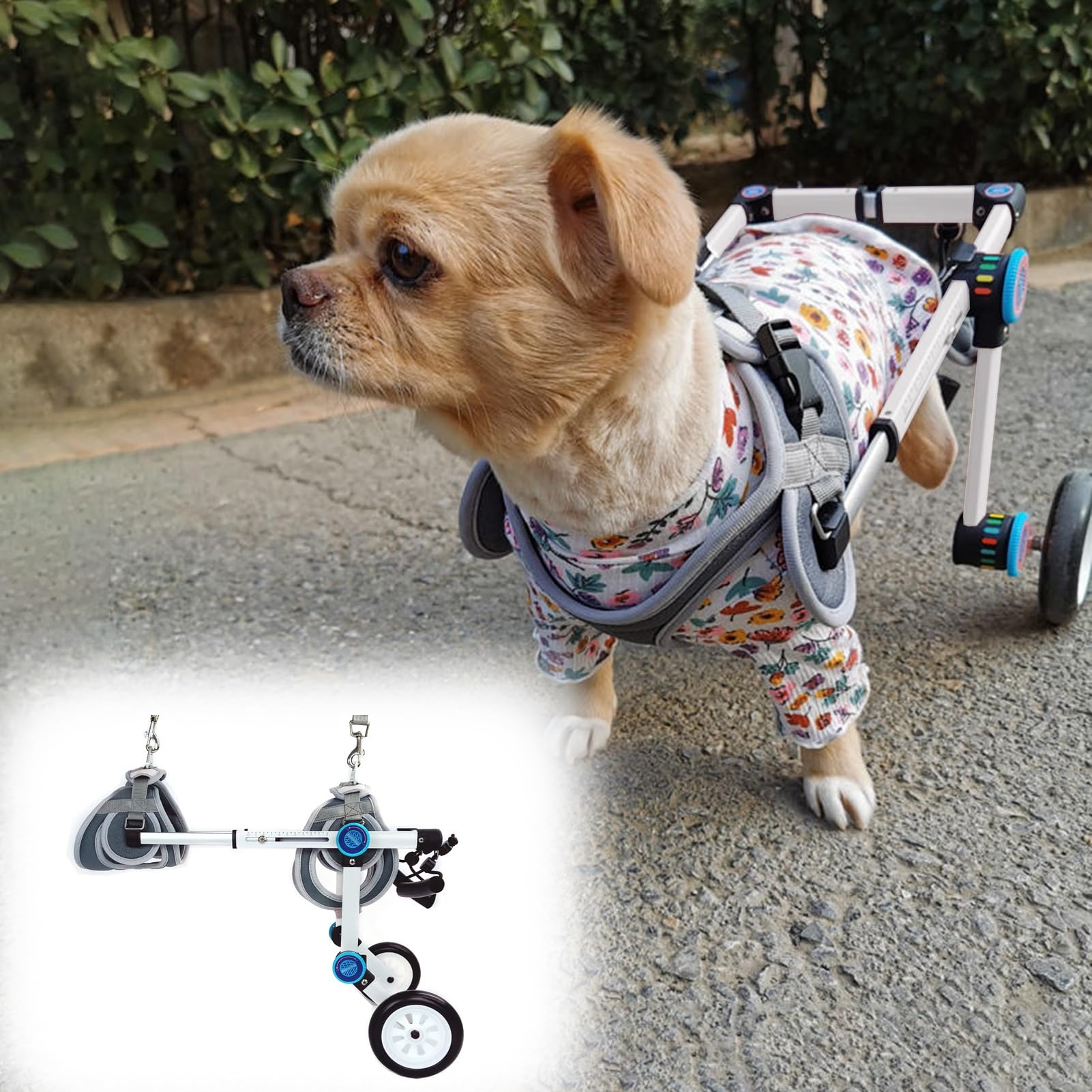 Silla de ruedas para perros pequeños y carrito ajustable para patas traseras