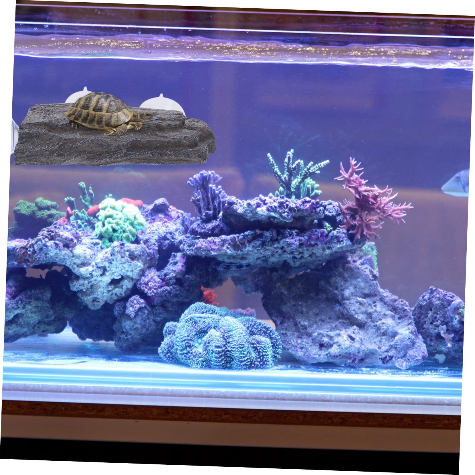 Hohopeti Plataforma para Bañarse para Tortugas con Ventosas Resistentes de Resina para Acuario Elemento Funcional para Reptiles Acuáticos