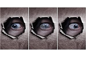 Eyes On You Lenticular Plastic 3D Poster: Unveil 18''x12'' of Shimmering Visual Mastery