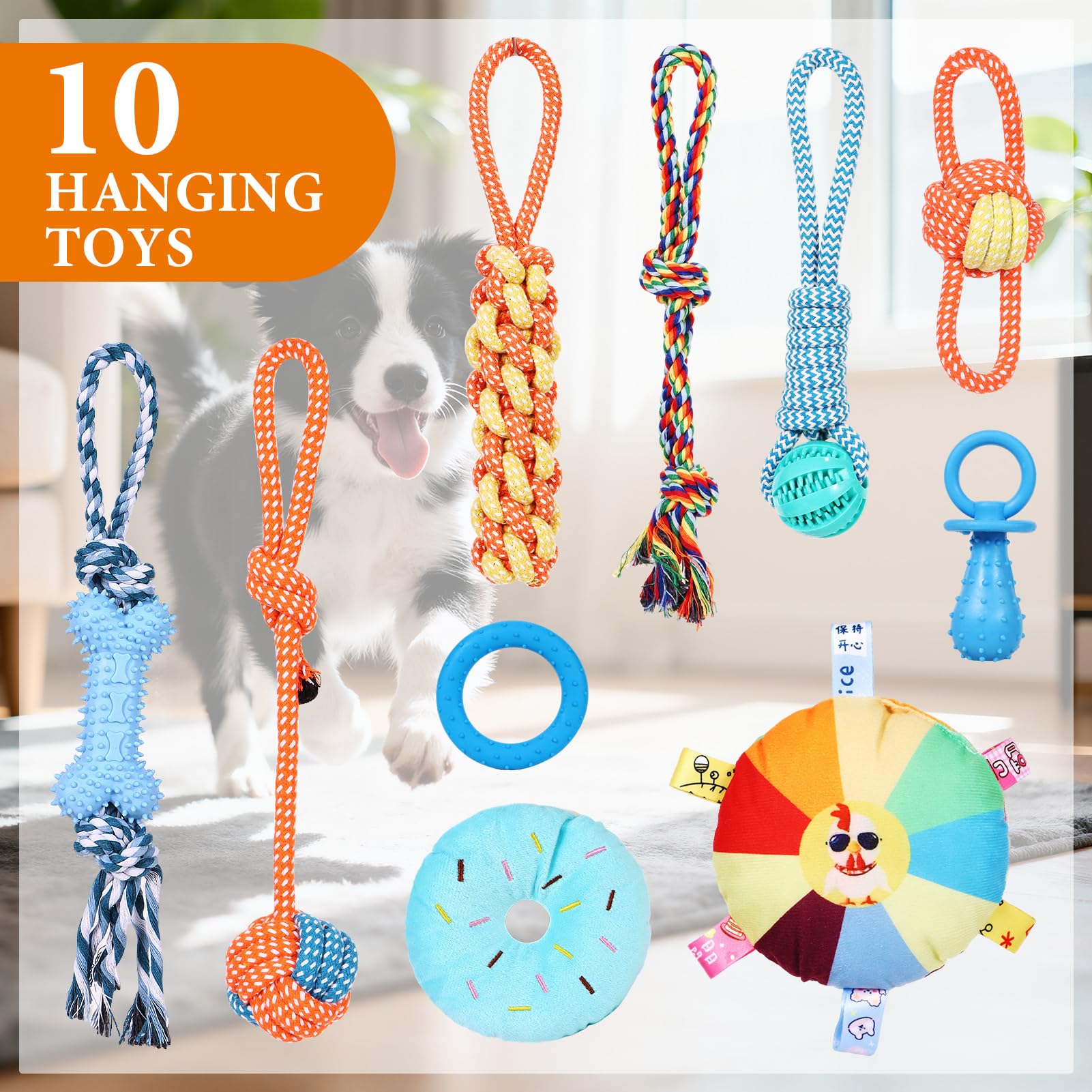 WLLEYAY Welpenspielstudio für kleine Hunde mit 10 hängenden Spielzeugen, abnehmbarer Indoor-Dschungel-Fitnessstudio, PVC-Rahmen mit verstellbaren Bungee-Gurten, interaktives Hundespielzeug