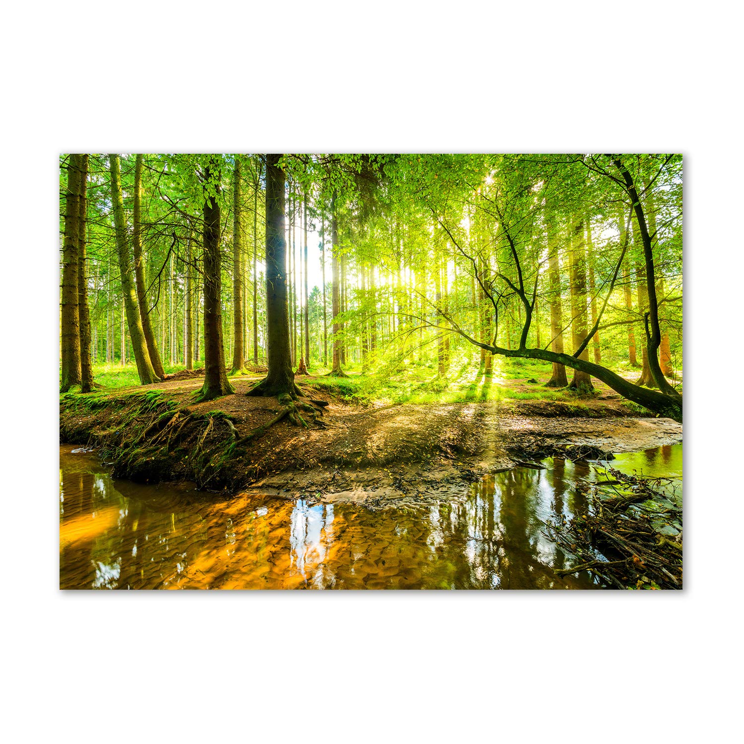 Déco murale cascade en forêt en verre acrylique : créez un havre de paix chez vous