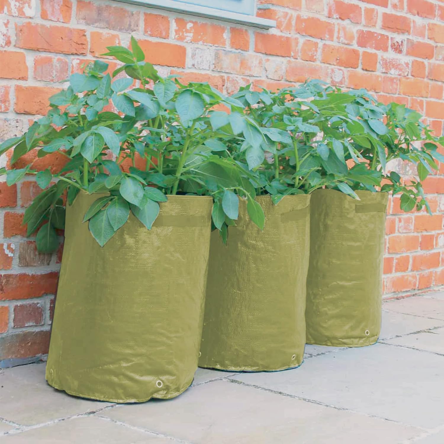 Tierra Garden 50-1040 Haxnicks Potato Patio Planter and Grow Bag, 3-Pack