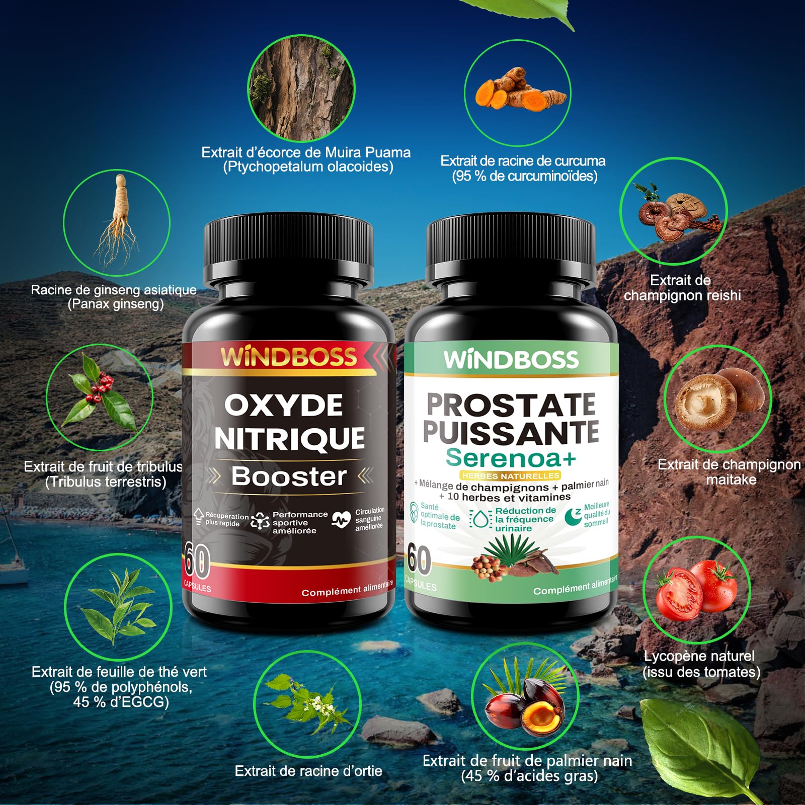 WINDBOSS Pack 2 en 1 – Booster d’Oxyde Nitrique & Complément Prostate pour Hommes – 60 Gélules Chacun – Améliore Circulation, Endurance, Santé Urinaire et Qualité du Sommeil avec