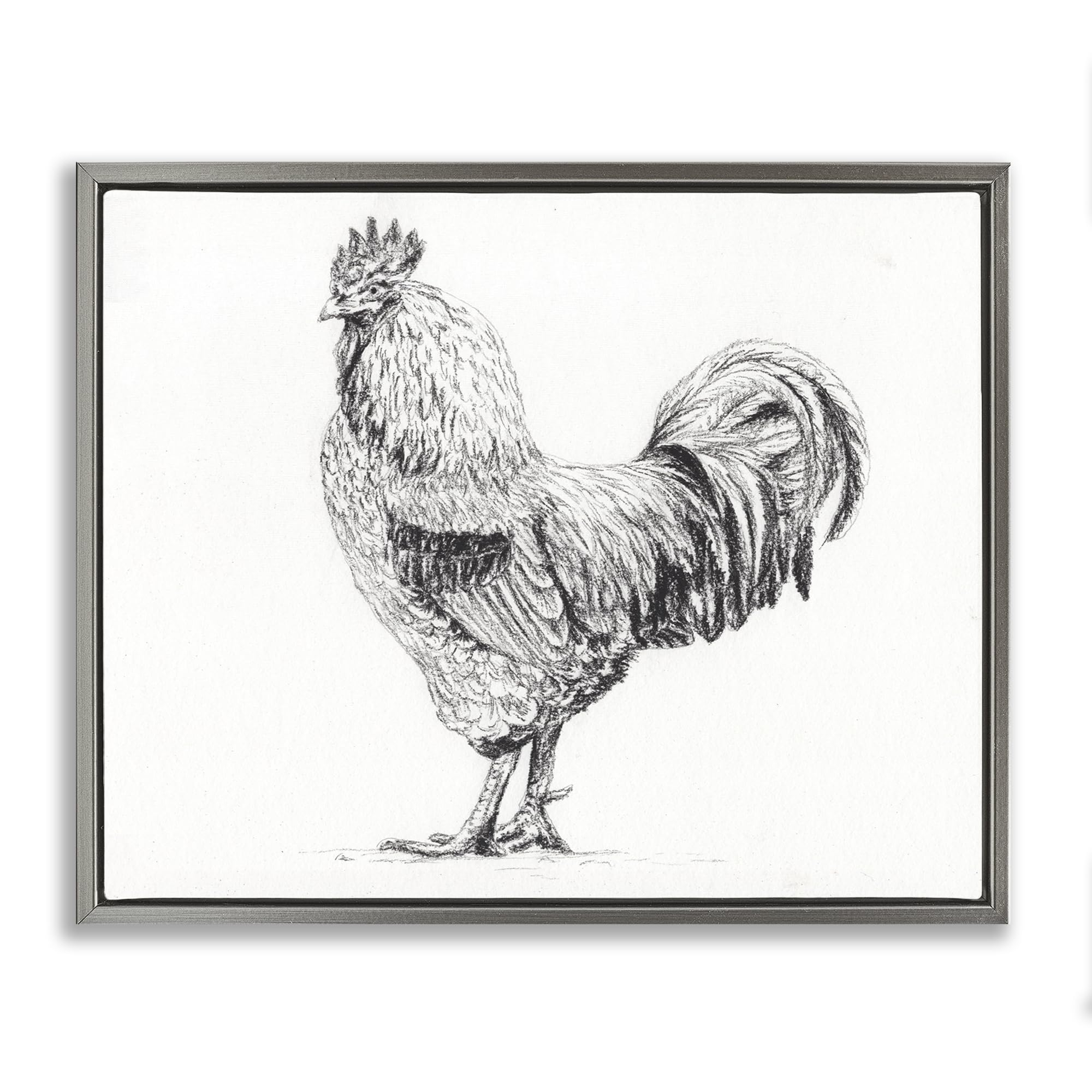Stupell Industries 'Rooster in Charcoal', Floating Frame Canvas Art, Gray, 31 x 25 Inches, Easy to Hang and Sturdy, Made in USA, by Leah Noel Art
