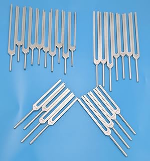 The Ultimate Healing KIT of 26 Unweighted Tuning Forks Therapeutic Chakra Harmonic Planetary with Mallets and Pouches