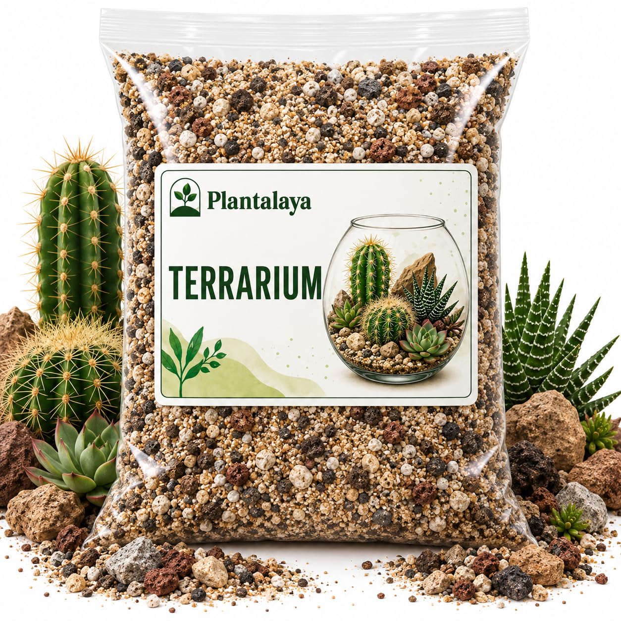 Desert Terrarium Mix for Cacti & Succulents – Free Draining Gritty Potting Mix – Arid Terrarium Substrate for Cactus, Aloe, Agave & Desert Plants - 2.5 Litres