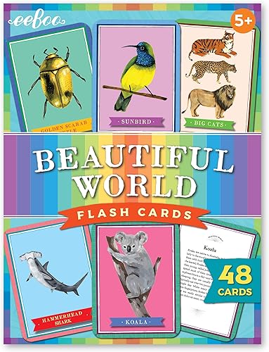 eeBoo: Beautiful World - Tarjetas didácticas educativas, coloridos gráficos de animales y el reverso proporcionan información, manera perfecta de