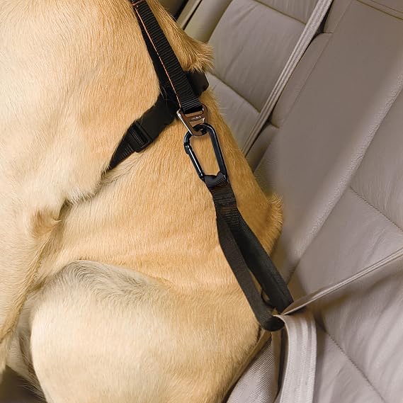 Kurgo Seatbelt Tether w/Carabiner