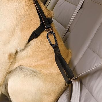 Kurgo Seatbelt Tether w/Carabiner
