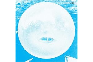Wilco Summerteeth Vinyl LP