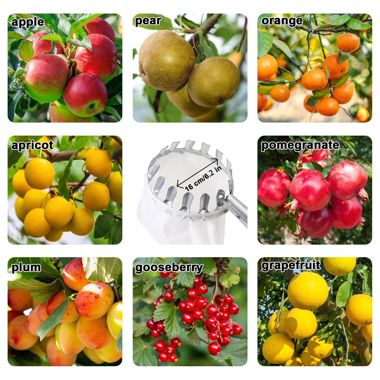 seOSTO Raccogli Frutta con Manico telescopico, 4,2 m, per Ciliegie, Diametro 16 cm, raccogli Mele, con Sacchetto di Cotone, raccogli Ciliegie, prugne per Reaching Inaccessible Places in Fruit Trees