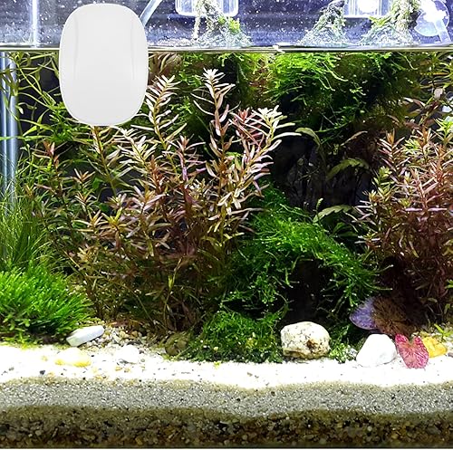 Miniatura 7 de Bomba de aire para tanque de peces USB, bomba de oxígeno silenciosa portátil para acuarios de plástico para acuarios de agua dulce e hidropónico