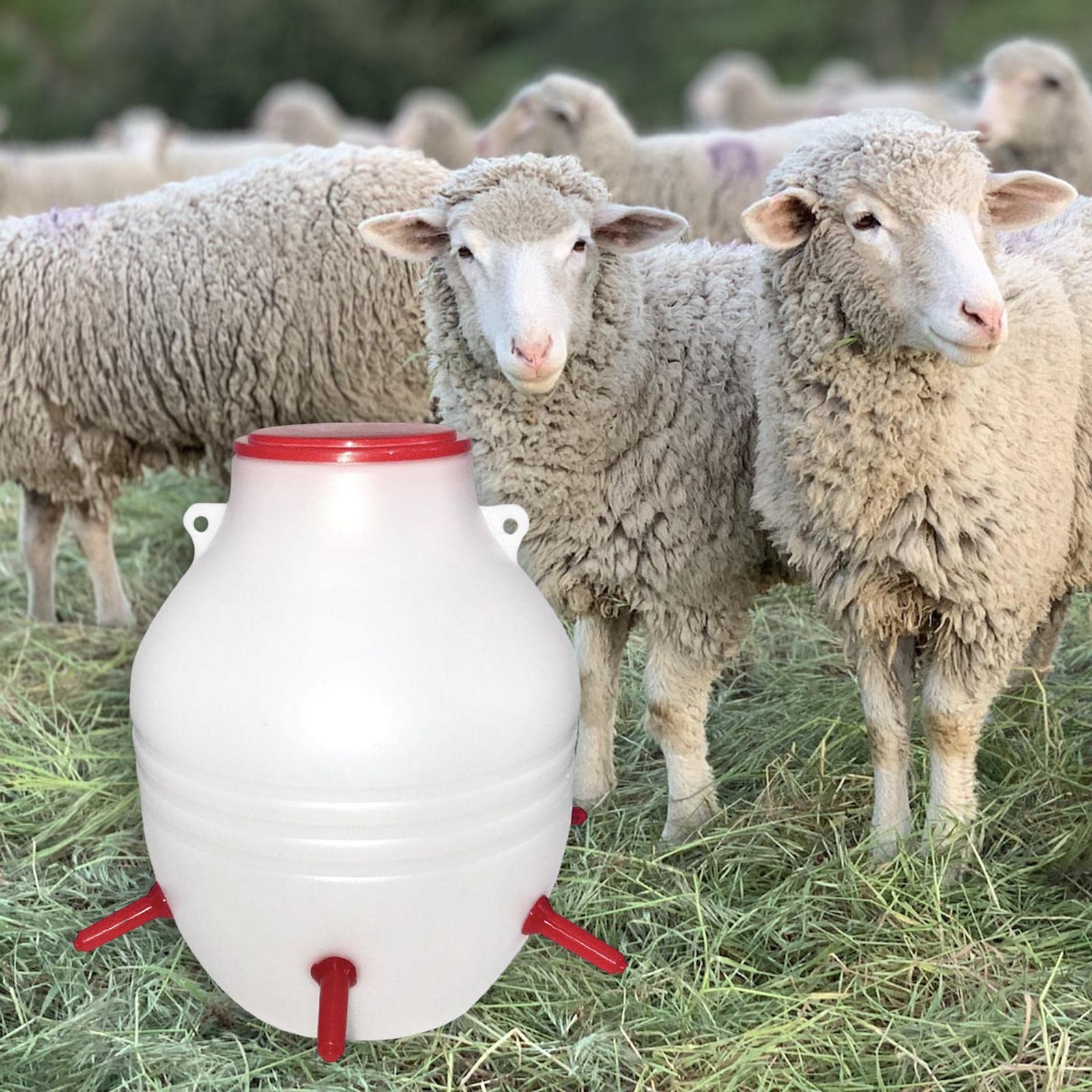 Comedero para Corderos con Cubo, Biberón Y Accesorios de Gran Capacidad de 6-8 Litros para La Alimentación.