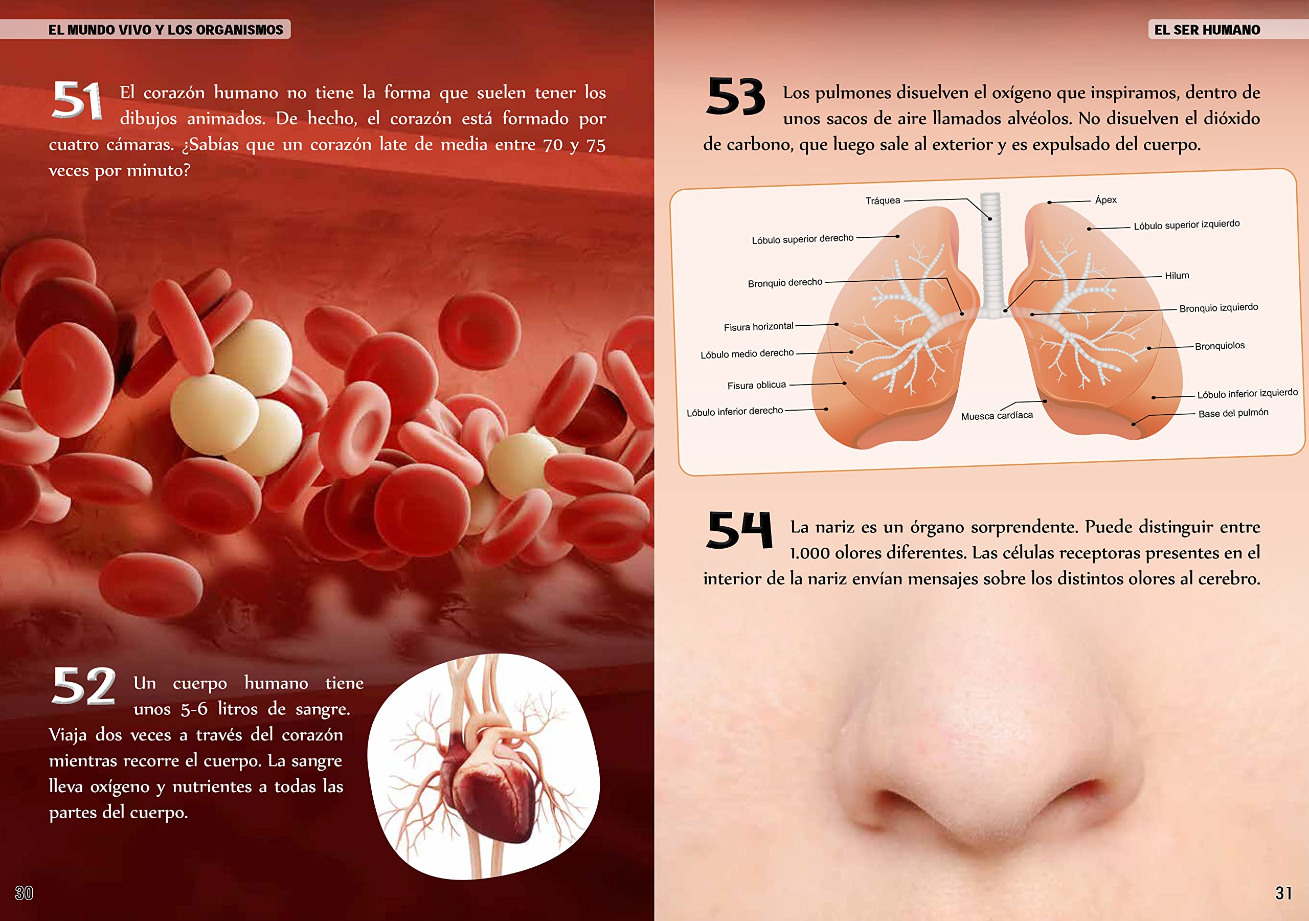 500 CURIOSIDADES CIENCIA