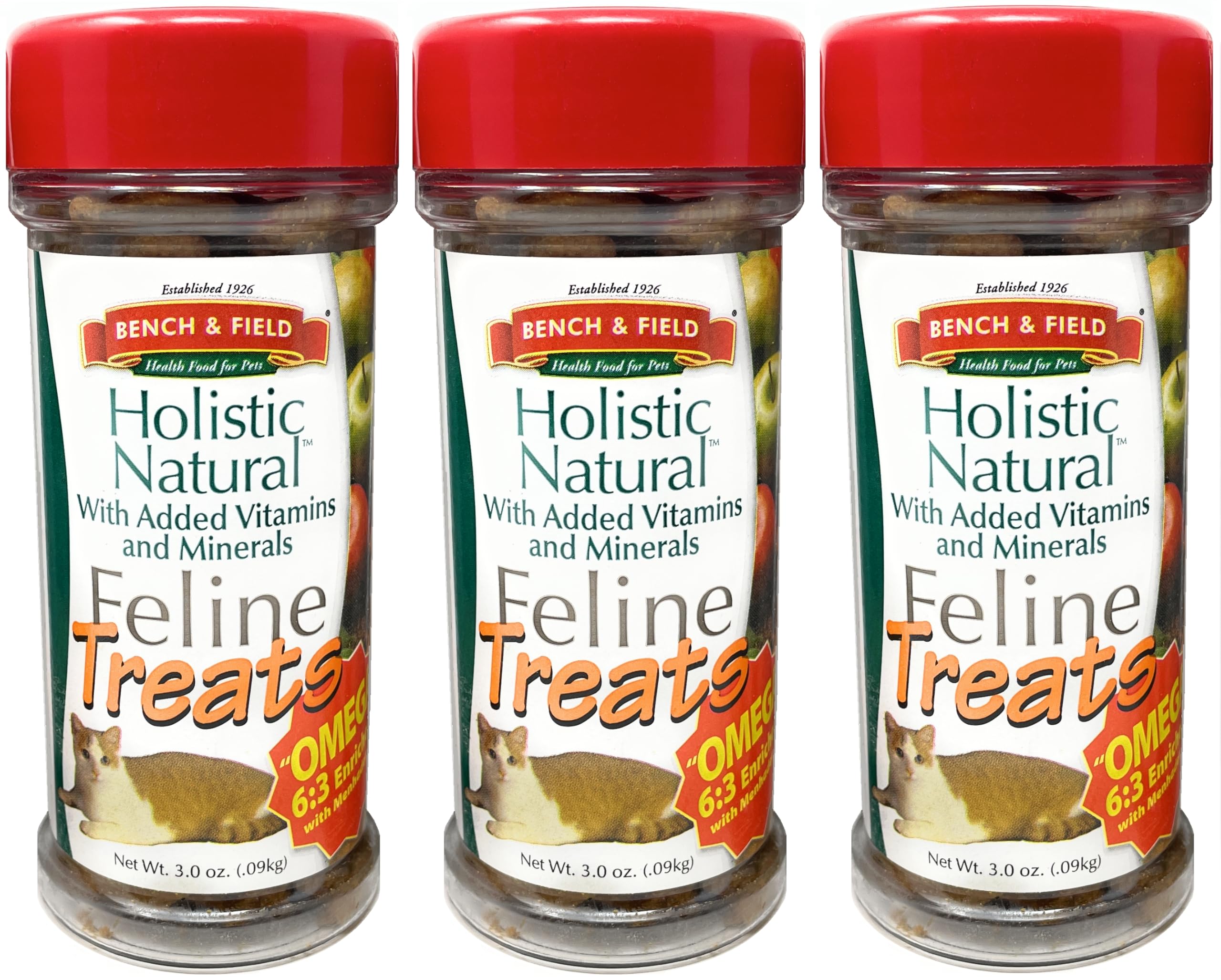 Holistic Natural Healthy Kitty Cat Treats | Crunchy Fish-Shaped Bites | Delicious Seafood Flavored Snack, 3-Ounce (Pack of 3 Bottles)