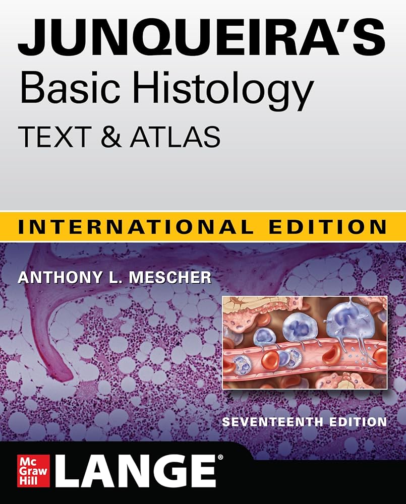 812-PyohDsL._AC_UF1000,