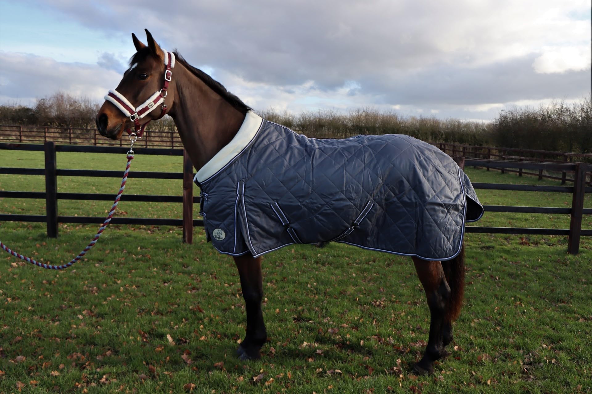 Ruggles 100g Lightweight Stable Rug for Horse and Pony | Fleece Collar | Ideal for Milder Weather or as part of a Layering System in Colder Weather (Grey, 5' 6")