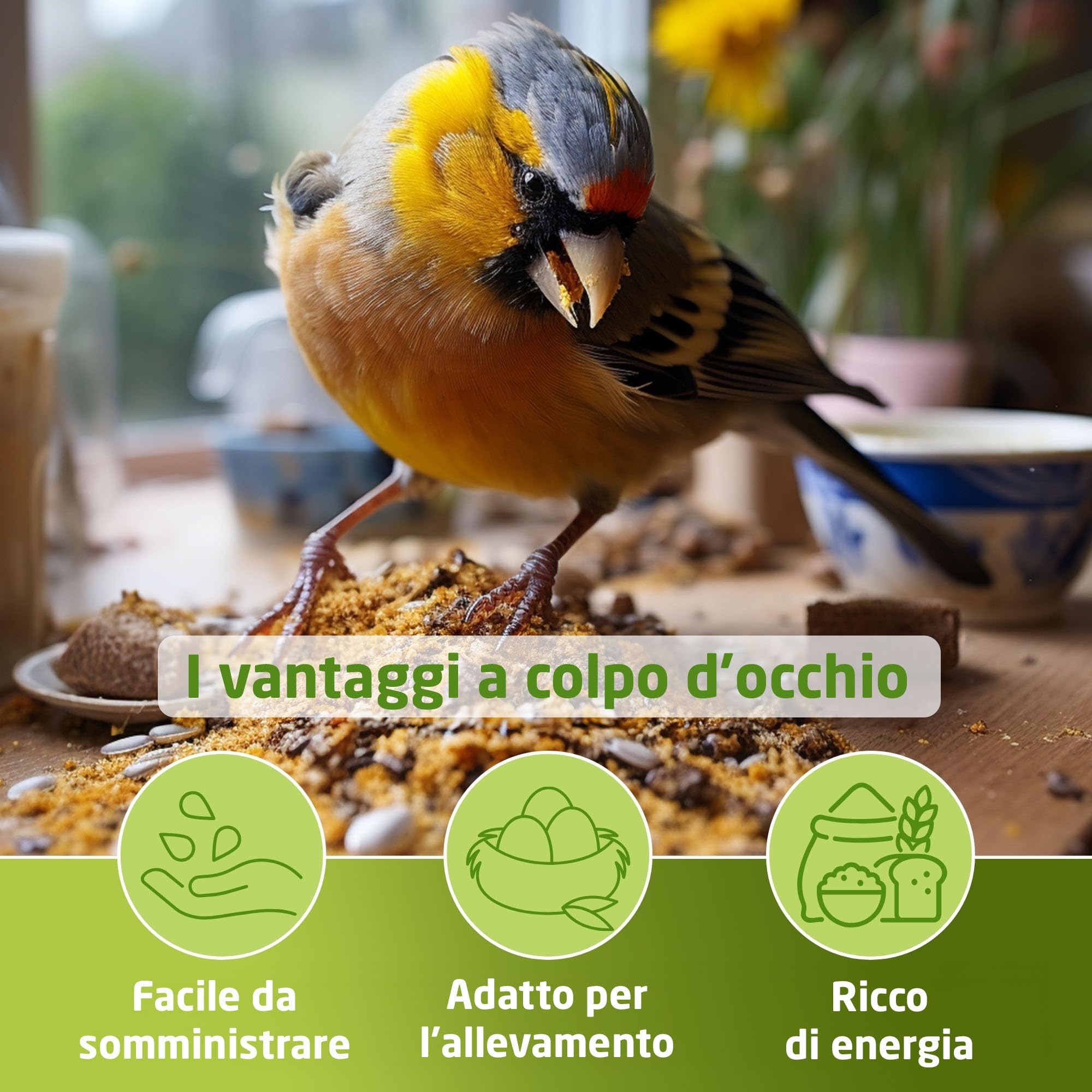 Eggersmann volaris Mangime per uccelli selvatici tutto l'anno 25 kg [Grassi] mangime per uccelli selvatici per tutto l'anno | Mangime ricco di grassi per tutte le specie di uccelli