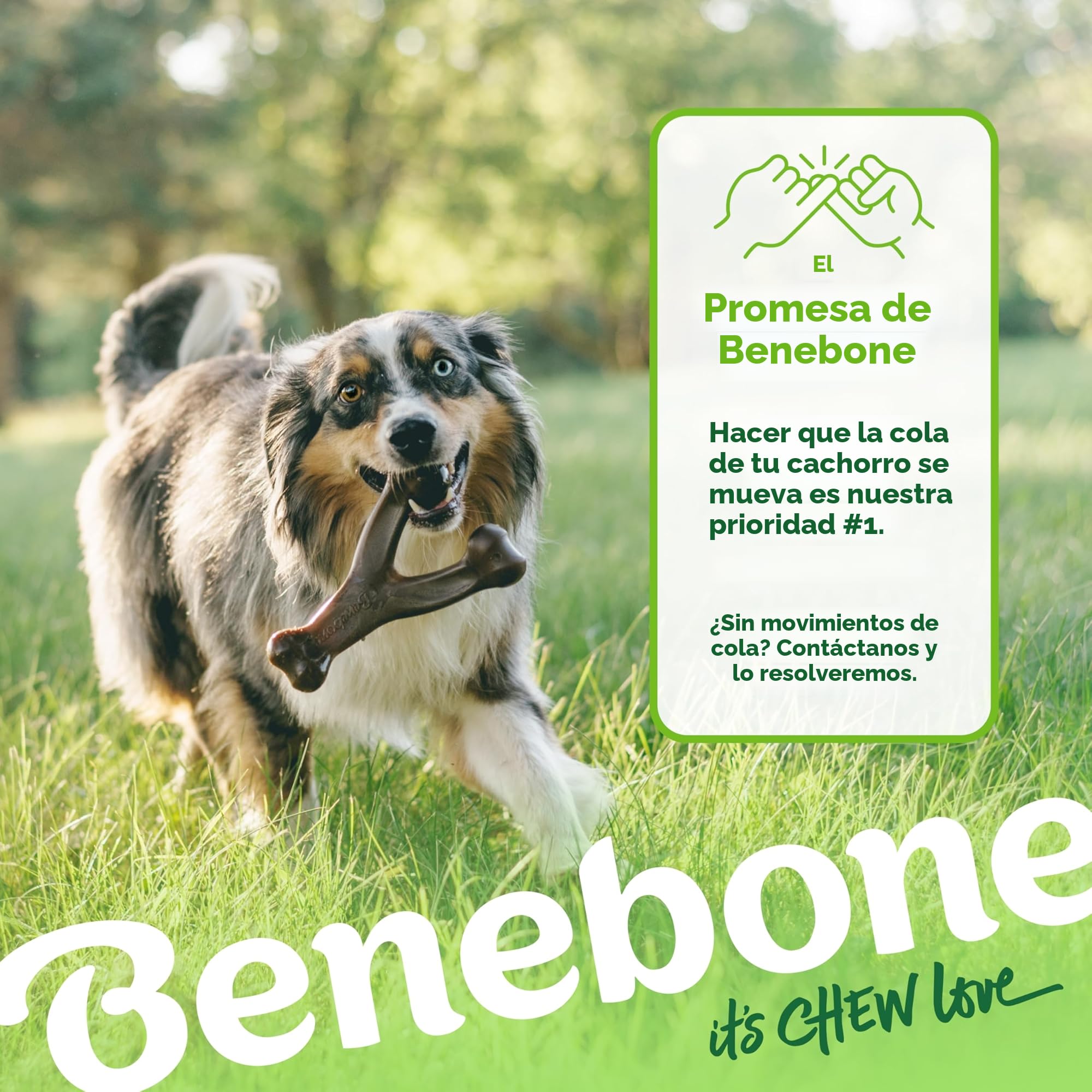 Wishbone de Benebone, un juguete para morder, con auténtico beicon mediano, resistente e indicado para perros masticadores agresivos, fabricado en EE. UU.
