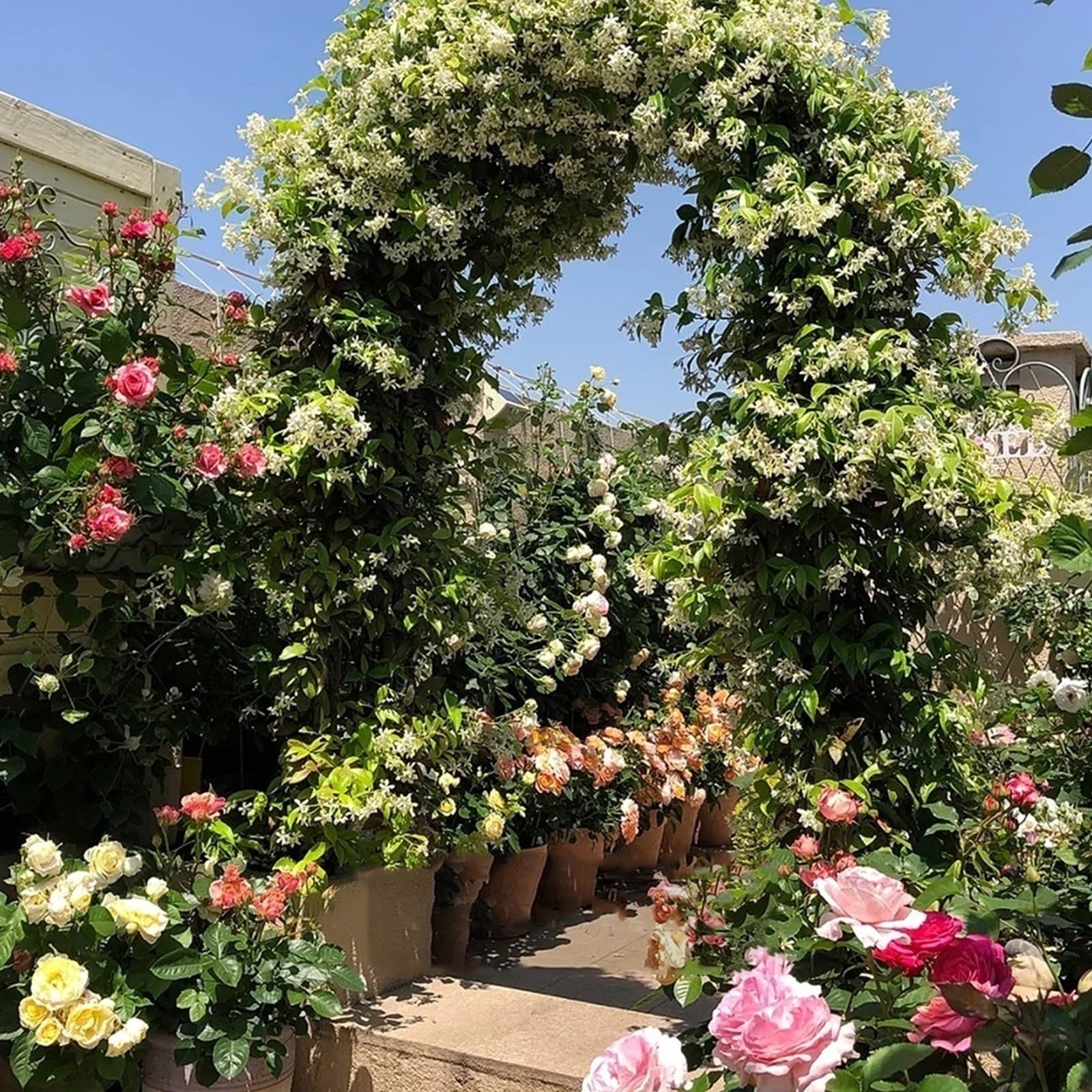 Rankgitter für den Garten, robust, rostfreier Edelstahl, für Kletterpflanzen, Rosen, Reben, Innen- und Außenbereich, Hochzeitsdekoration