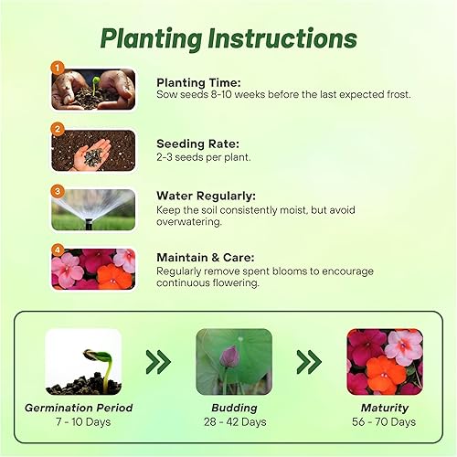 Miniatura 4 de Outsidepride Mezcla de semillas de flores de jardín de maracuyá de 75 semillas de Impatiens para plantar
