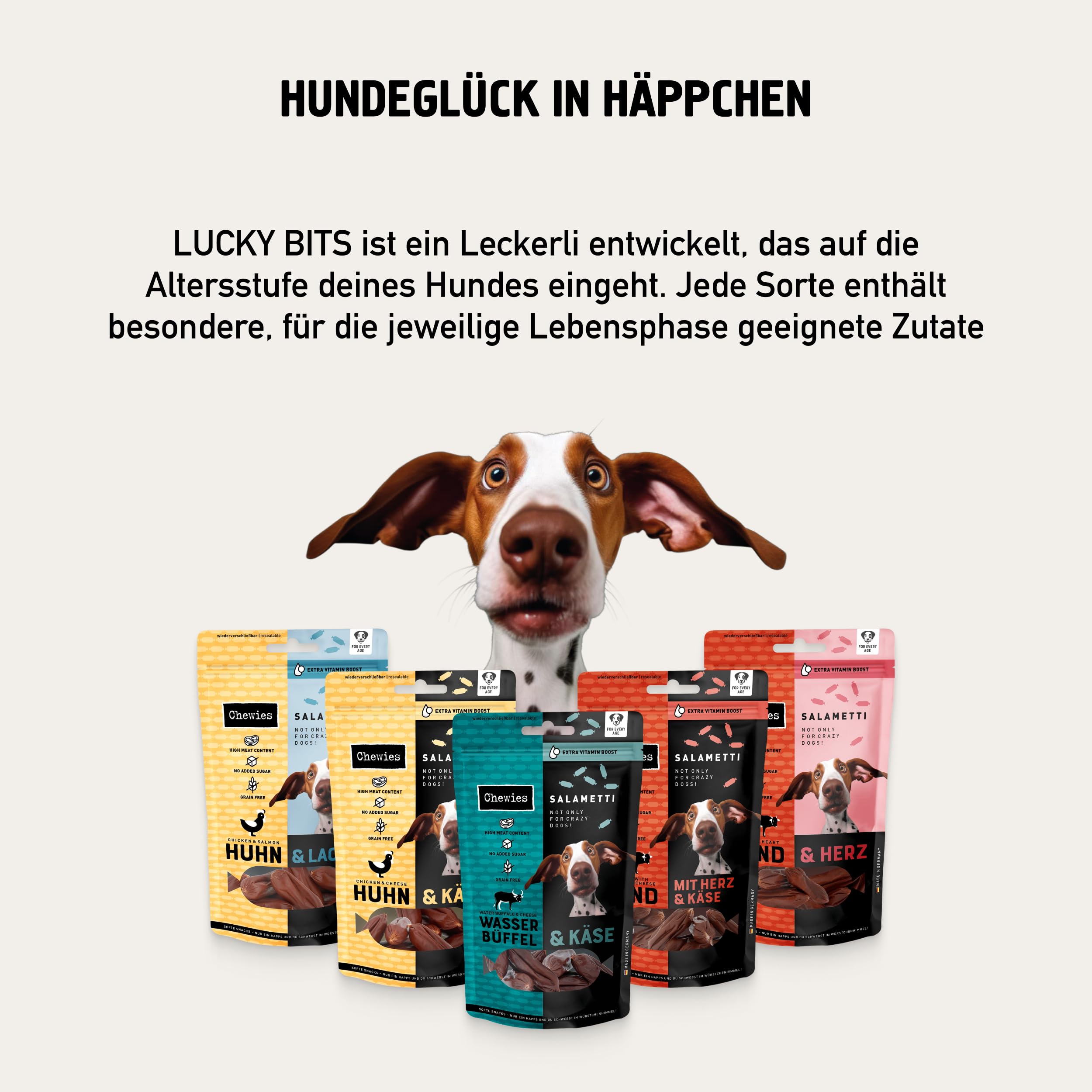 Chewies Kennenlern-Paket Large - Olivenholz & Kaffeeholz für Hunde, Kaukäse, Hunde Leckerlis mit Maxi Fleischstreifen, Lucky Bits, Hundezigarre & Trainings-Happen Pferd (für größere Hunderassen)