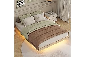 Dolonm Low Profile Wooden Bed Frame with LED Lights