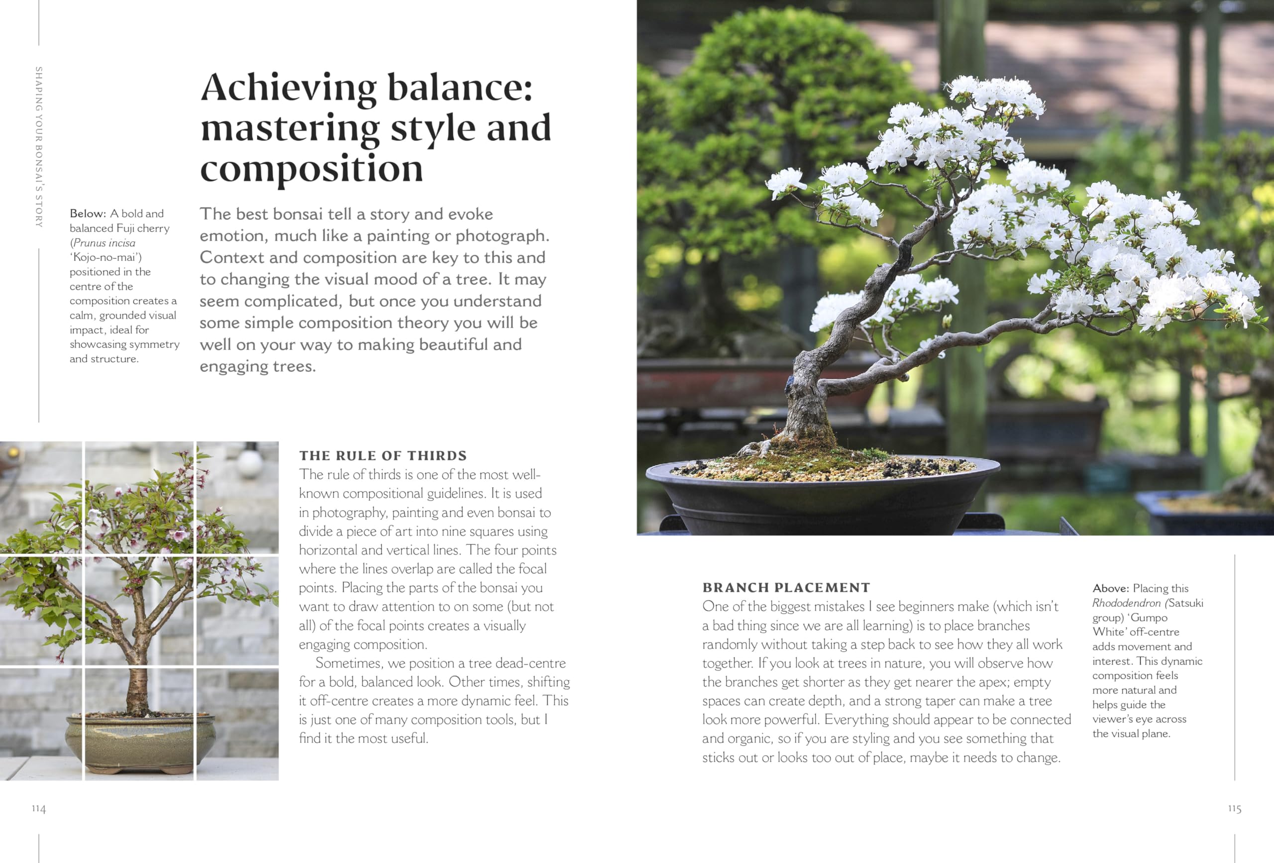 The Happy Bonsai Handbook: Essential advice and easy techniques for bonsai beginners and beyond