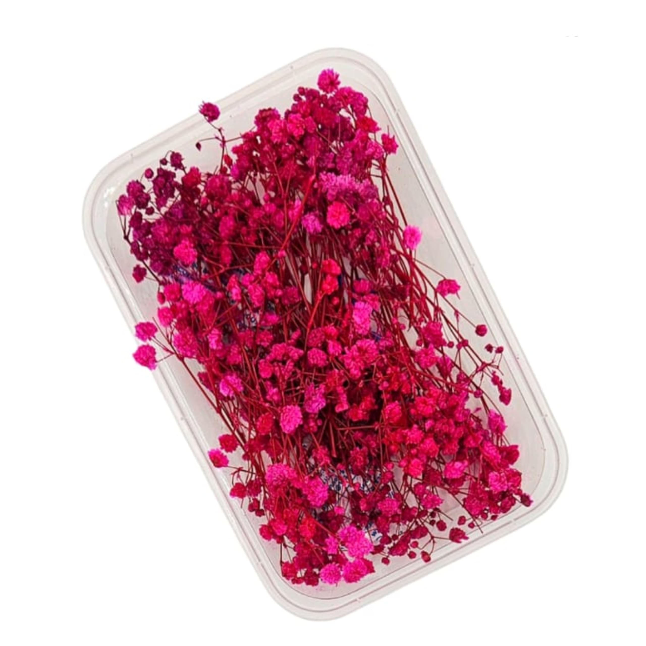 Zarwani 1 Box Natural Real Dried Flowers for Art Craft Mixed Soap, Candle, Scrapbook, DIY, Resin Tray Jewellery, Pendant (White Mix Color) (Dark Pink Gypsophila)