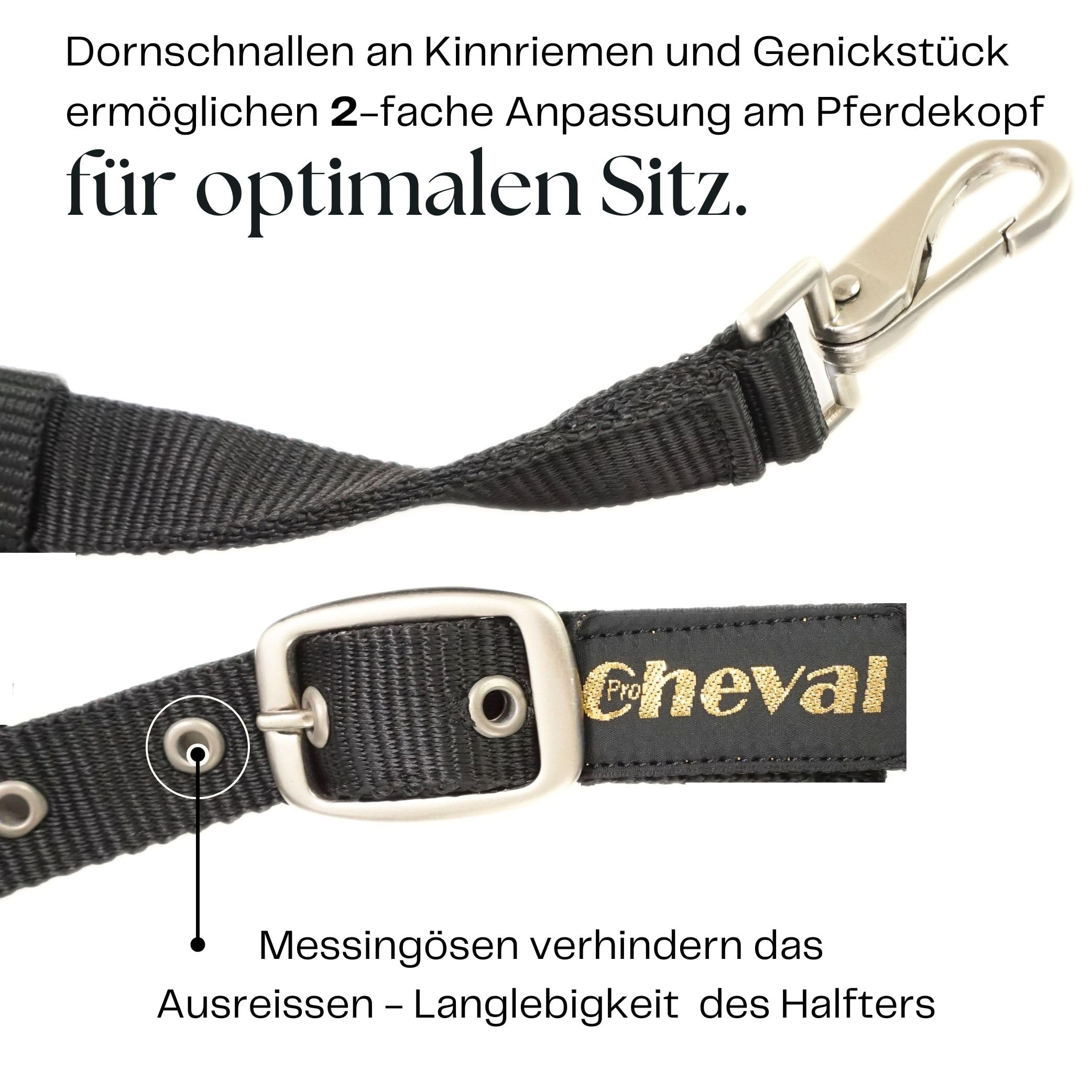 Halfter für Pferde mit Glitzer Steinen, Fell Halfter Pferd in schwarz mit Strass, 2-Fach verstellbar (Schwarz, Shetland Pony (Shetty))