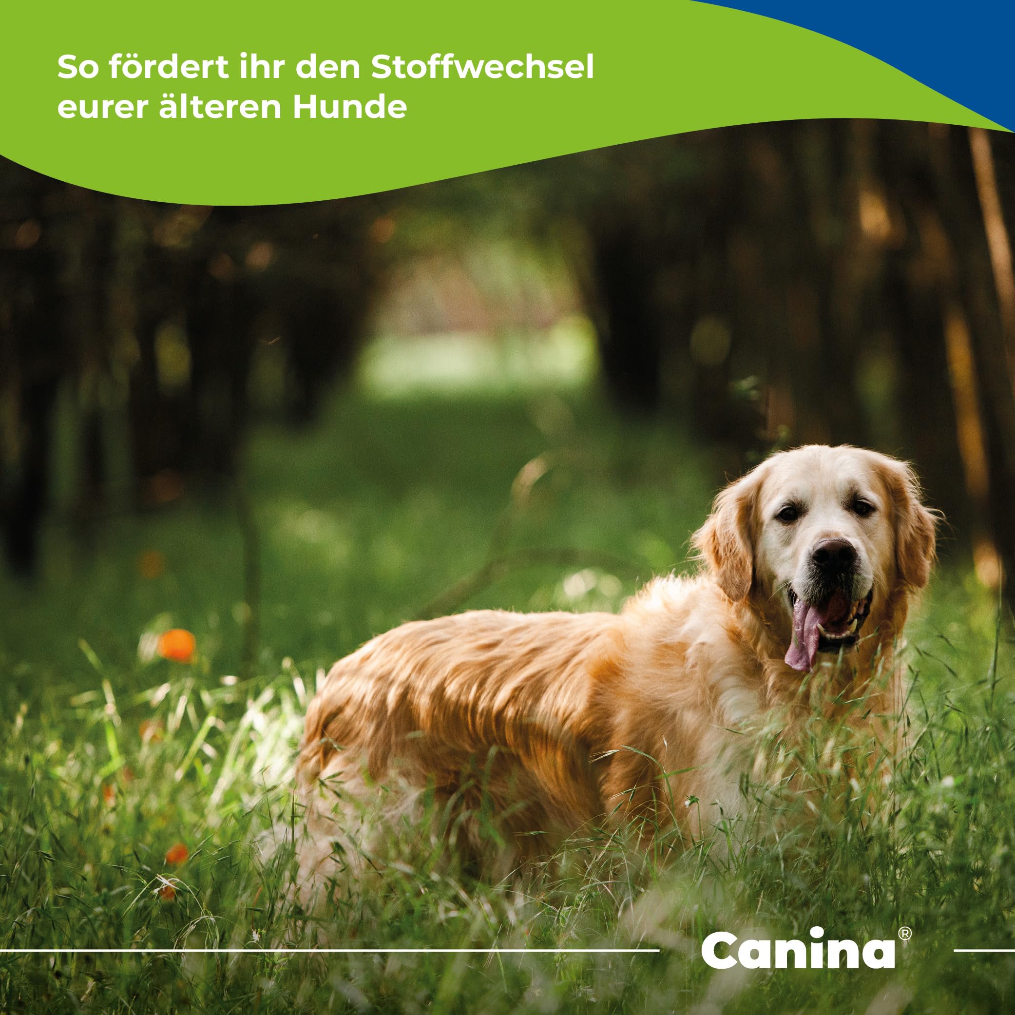 Canina Barfer's Best Senior, 2 kg