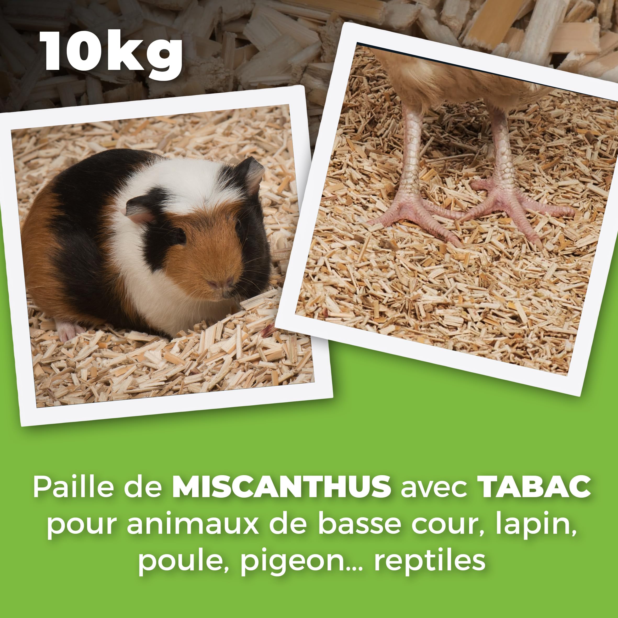 Green Elephant Litière de Miscanthus pour animaux de basse-cour, poule et volailles, lapin, avec tabac comme répuslif naturel contre les poux rouges. Sac de 10Kg