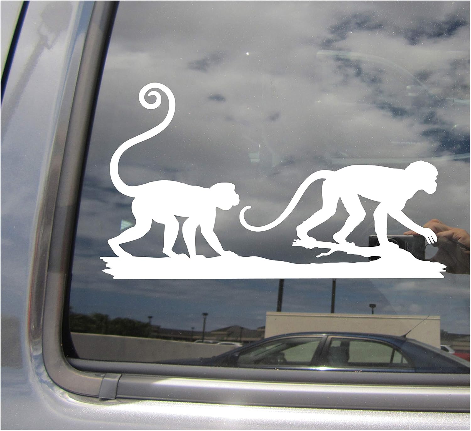 Squirrel Monkeys - New World - Cars Trucks Moped Helmet Hard Hat Auto Automotive Craft Laptop Vinyl Decal Window Wall Sticker 01475