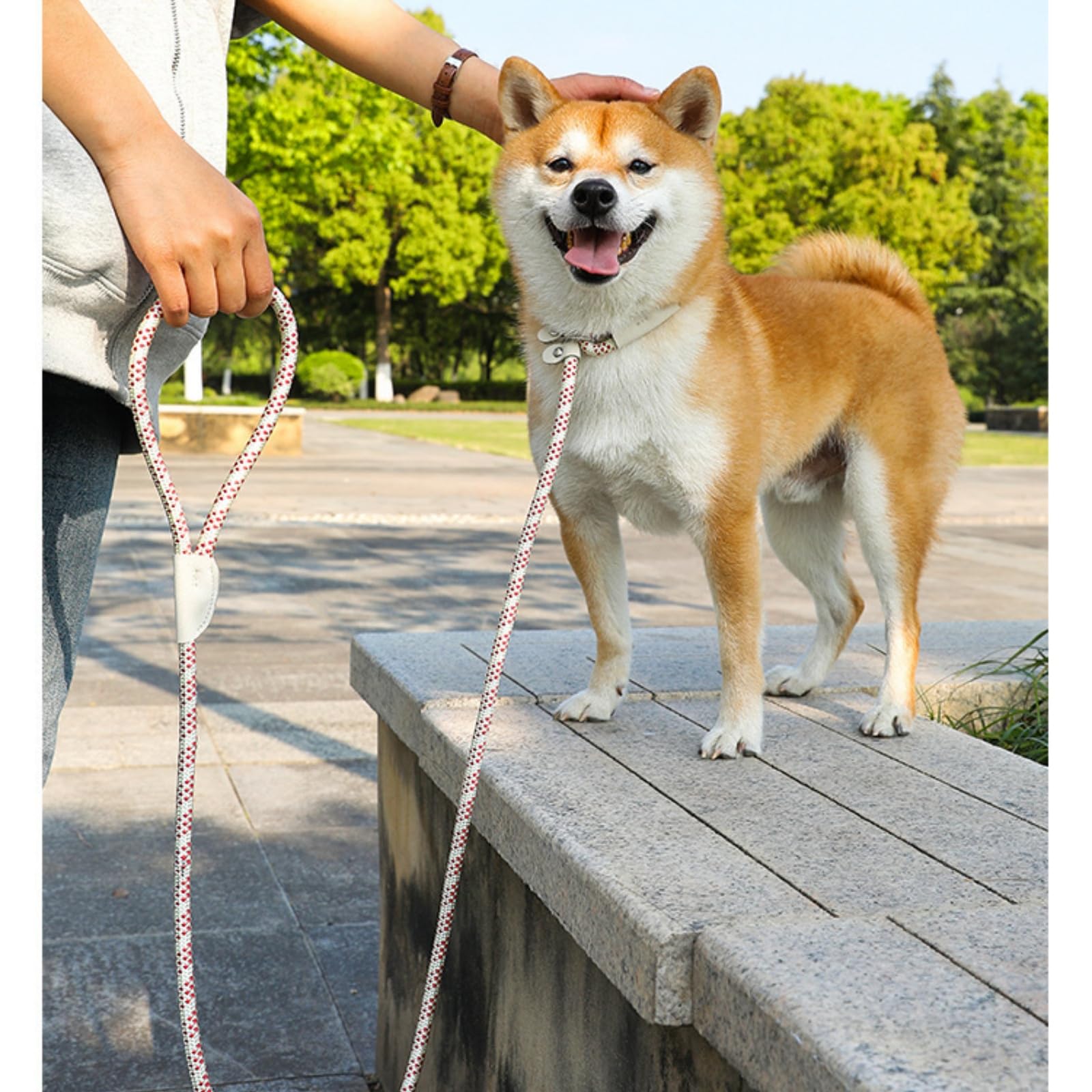 Amazon | リード滑り止めワイヤー制御リード、快適で強力なロープ滑り