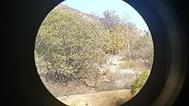 Review Image by Kyle B. Kyle B.