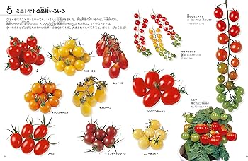 そだててあそぼう 87 ミニトマトの絵本 | 菅原 眞治, 陣崎 草子 |本